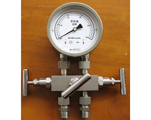 湖南差压表带三阀组